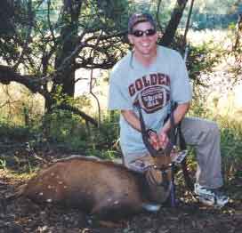 Jimmy's Bushbuck