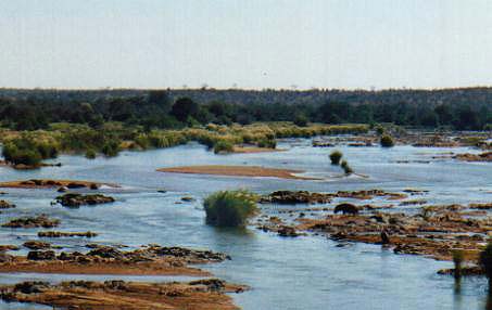 Letaba River Overlook