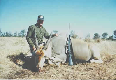 Mark's Eland