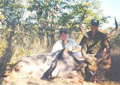 Mark's Kudu