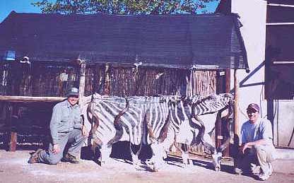 Mark and Jimmy with their animal skulls